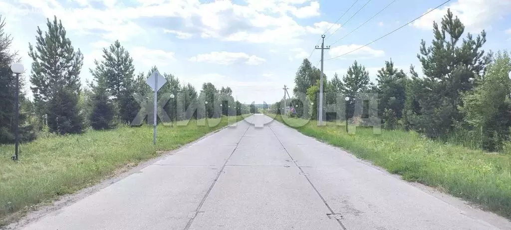 Участок в Искитимский район, Мичуринский сельсовет, ДСОНТ Бердь, ... - Фото 2