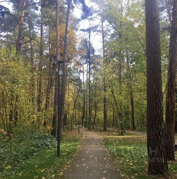 Участок в Московская область, Одинцовский городской округ, д. Шульгино ... - Фото 1