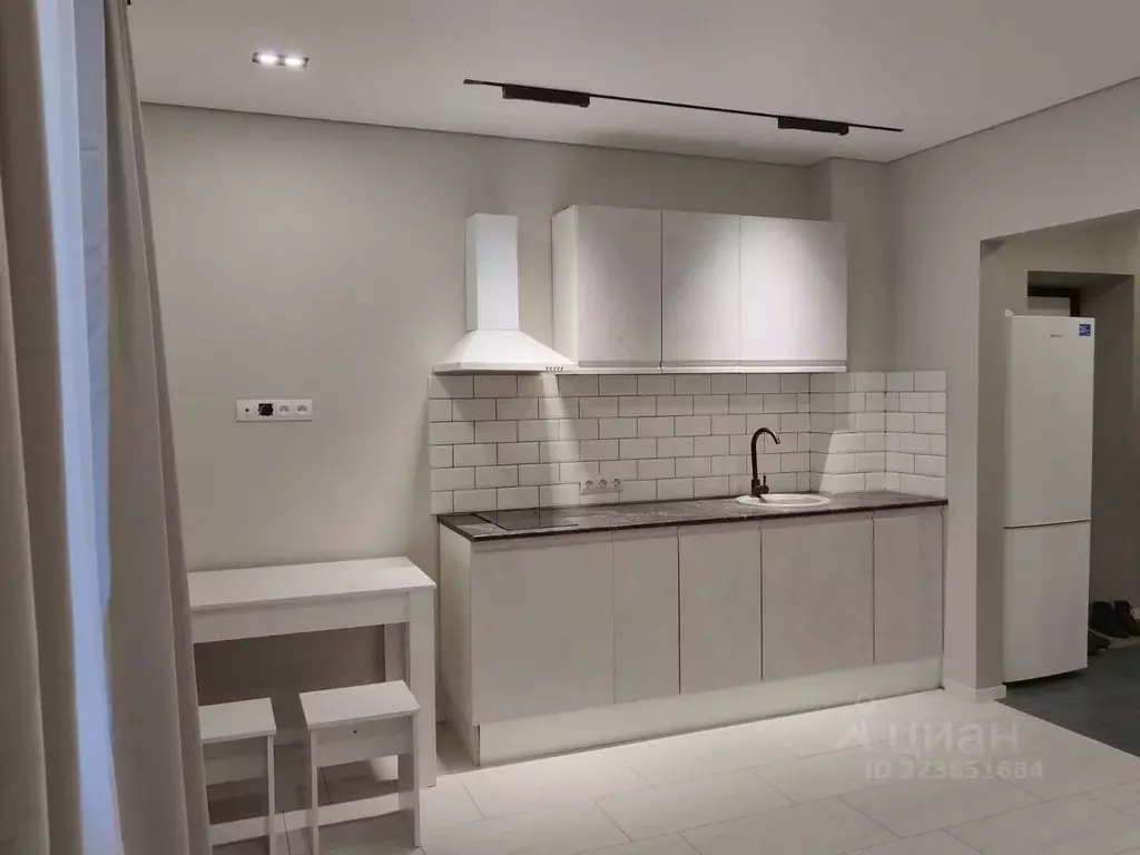 Студия Новосибирская область, Новосибирский район, с. Криводановка, ... - Фото 2