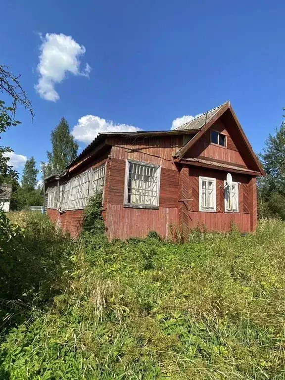 Дом в Ленинградская область, Лужский район, пос. Торковичи  (54 м) - Фото 2