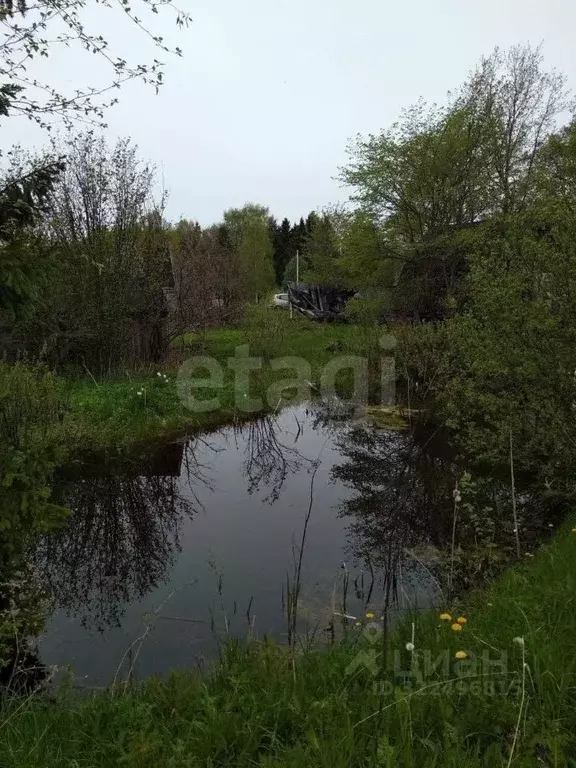 Участок в Вологодская область, д. Шульгино  (29.0 сот.) - Фото 1