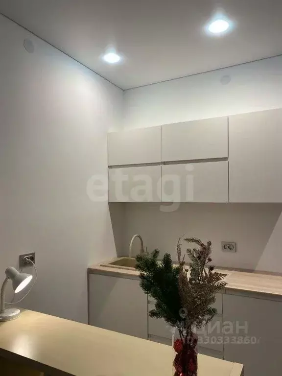 Студия Санкт-Петербург Уральская ул., 25 (24.7 м) - Фото 1