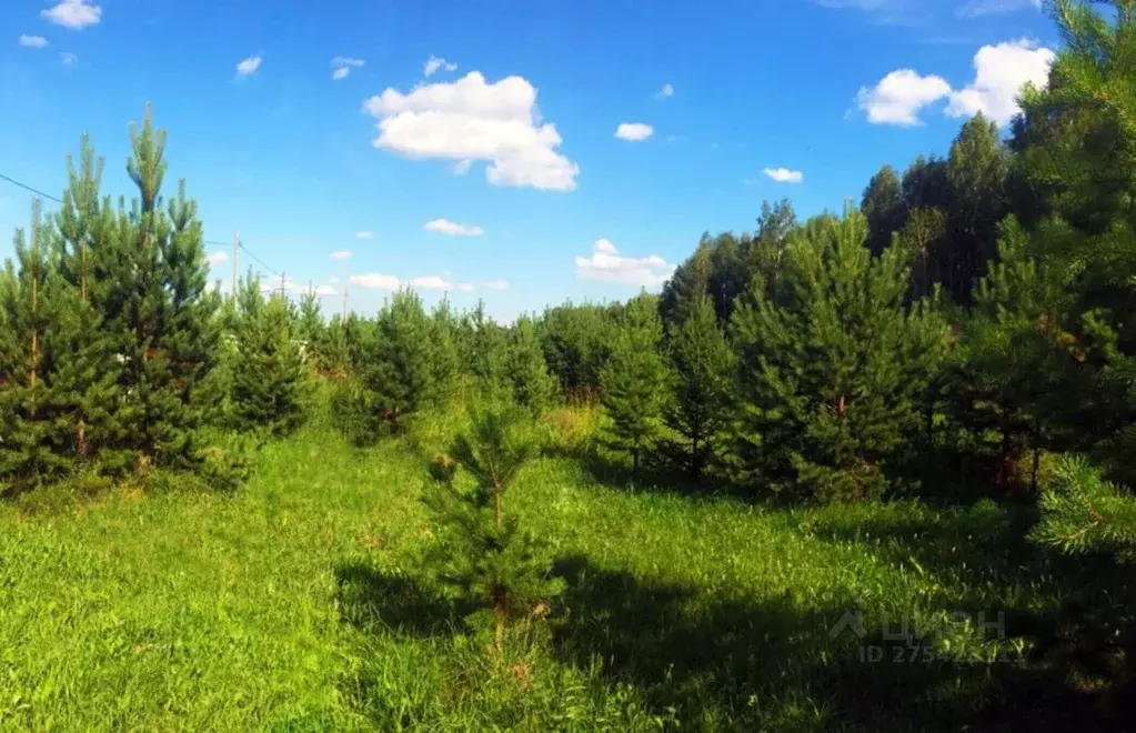 Участок в Тульская область, Ясногорский район, д. Белугино  (10.0 ... - Фото 1