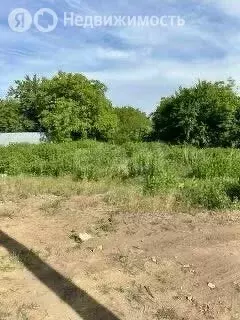 Участок в Новочеркасск, садовое товарищество № 20 Ботаника (6.05 м) - Фото 1