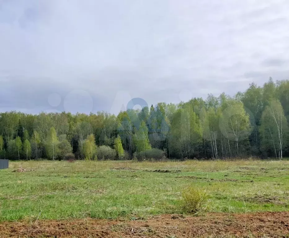 Новая Деревня Пушкино Купить Участок