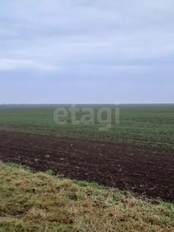 Участок в Крым, Сакский район, с. Уютное ул. Дружбы, 72 (458.0 сот.) - Фото 1