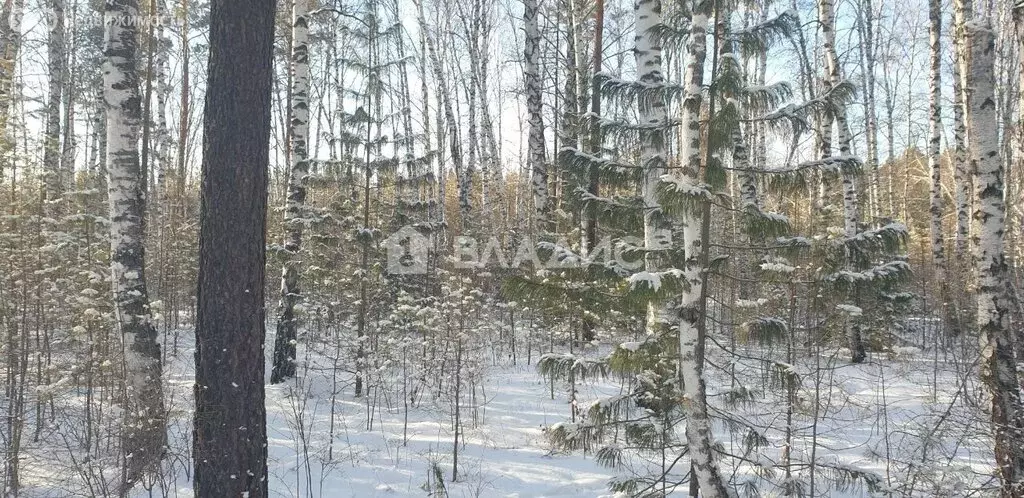 Участок в Тункинский район, посёлок Аршан (10 м) - Фото 2