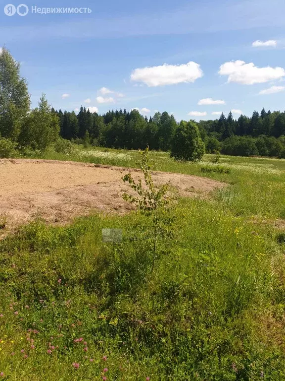 Участок в Сергиево-Посадский городской округ, деревня Васьково (117 м) - Фото 0