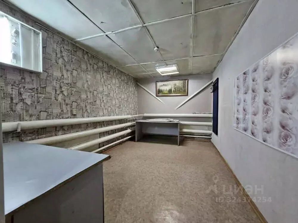 Склад в Амурская область, Благовещенск КПП мкр, ул. Текстильная, 114/1 ... - Фото 2