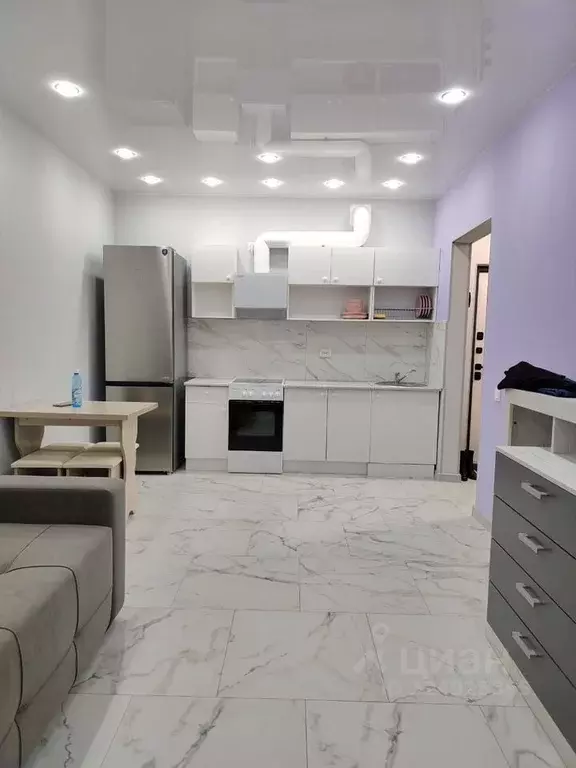 Студия Новосибирская область, Новосибирский район, Мочищенский ... - Фото 1