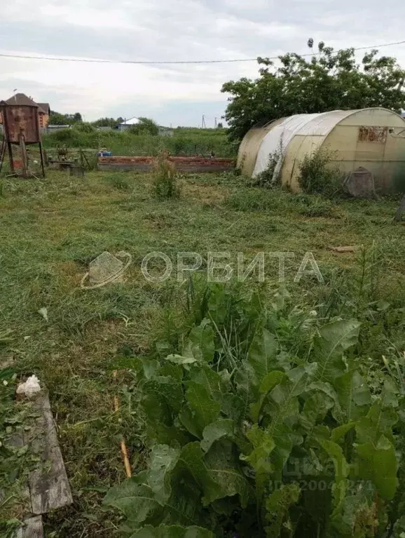 Участок в Тюменская область, Тюмень Лаванда садовое товарищество,  ... - Фото 0