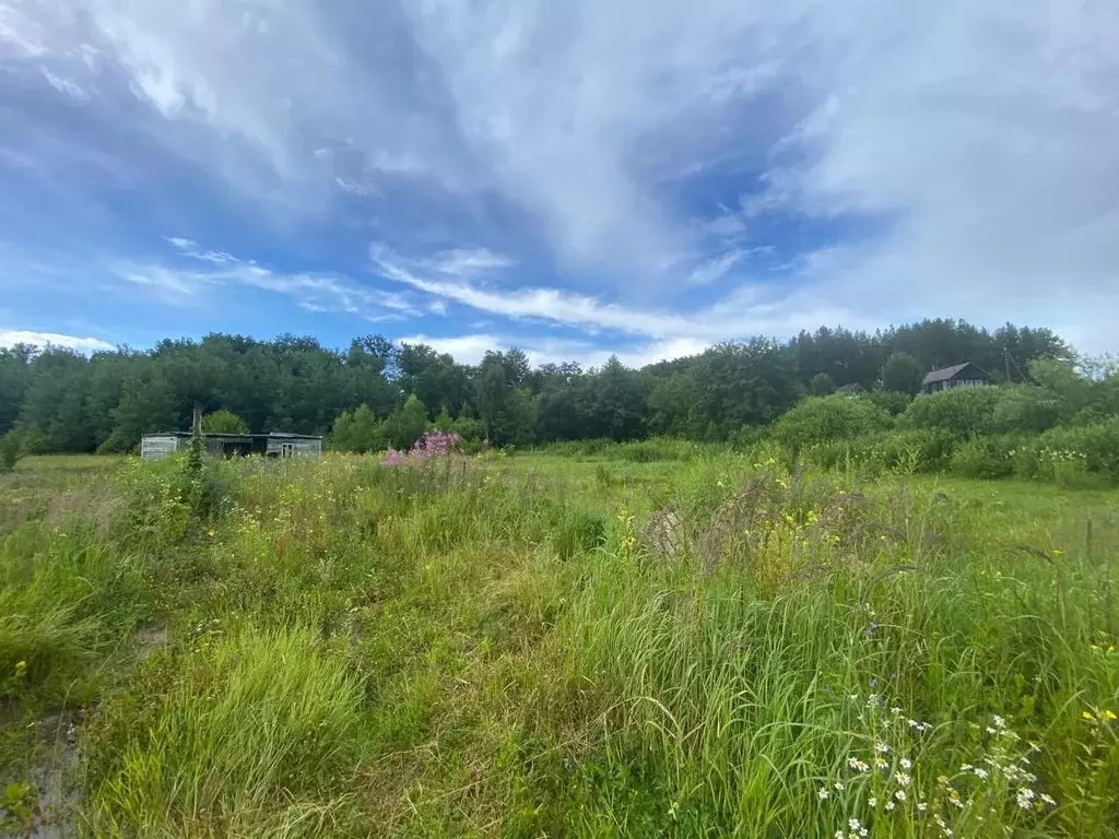 Участок в Пензенская область, Пензенский район, Засечный сельсовет, ... - Фото 2