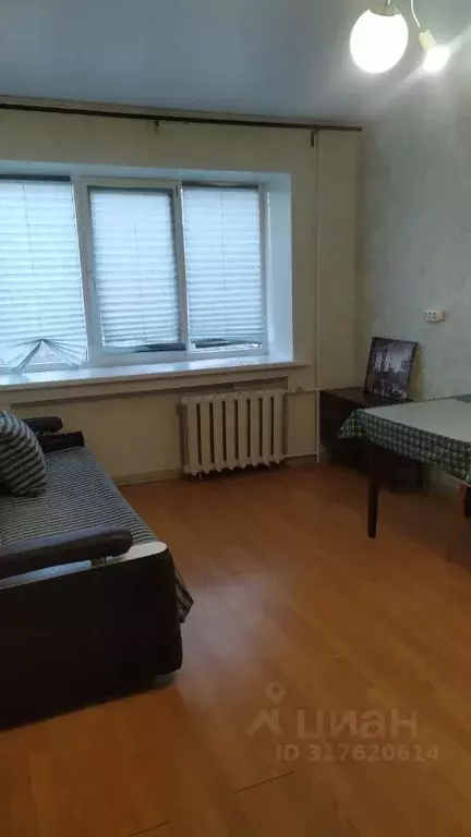 1-к кв. Новосибирская область, Новосибирск ул. Блюхера, 29 (31.0 м) - Фото 1