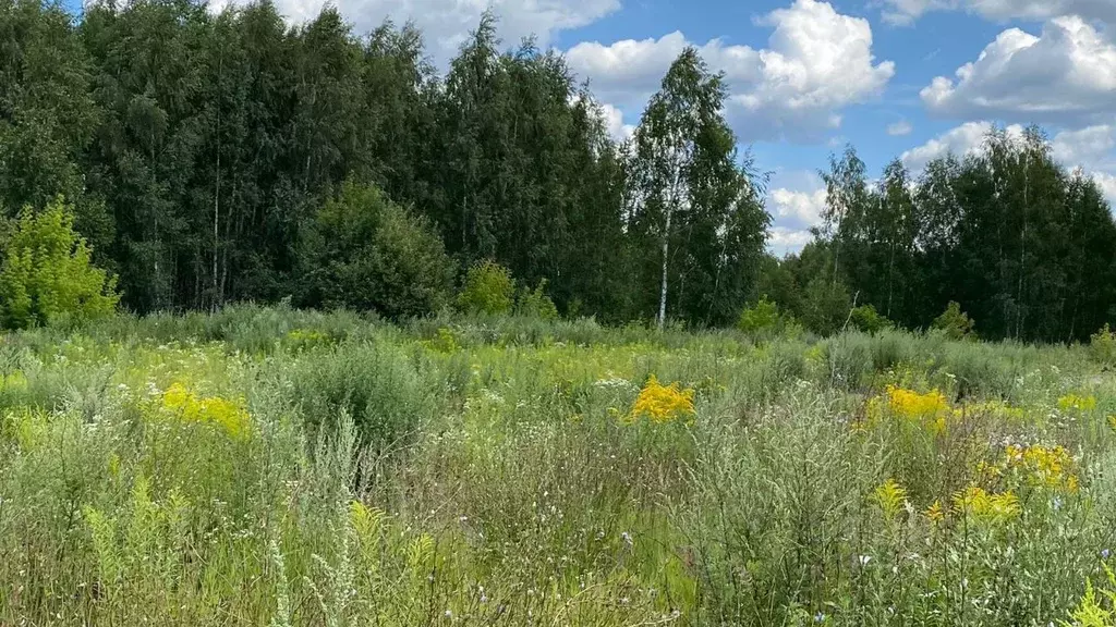 участок в московская область, щелково городской округ, монино рп . - Фото 0