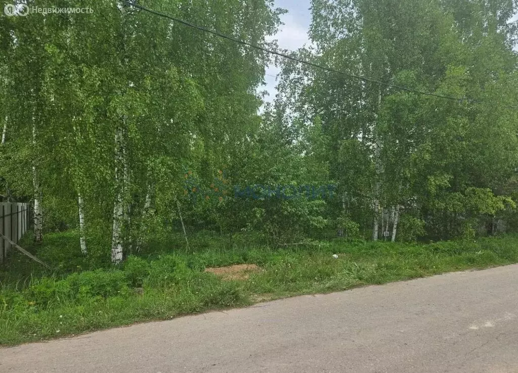 Участок в Нижегородская область, Дальнеконстантиновский муниципальный ... - Фото 1