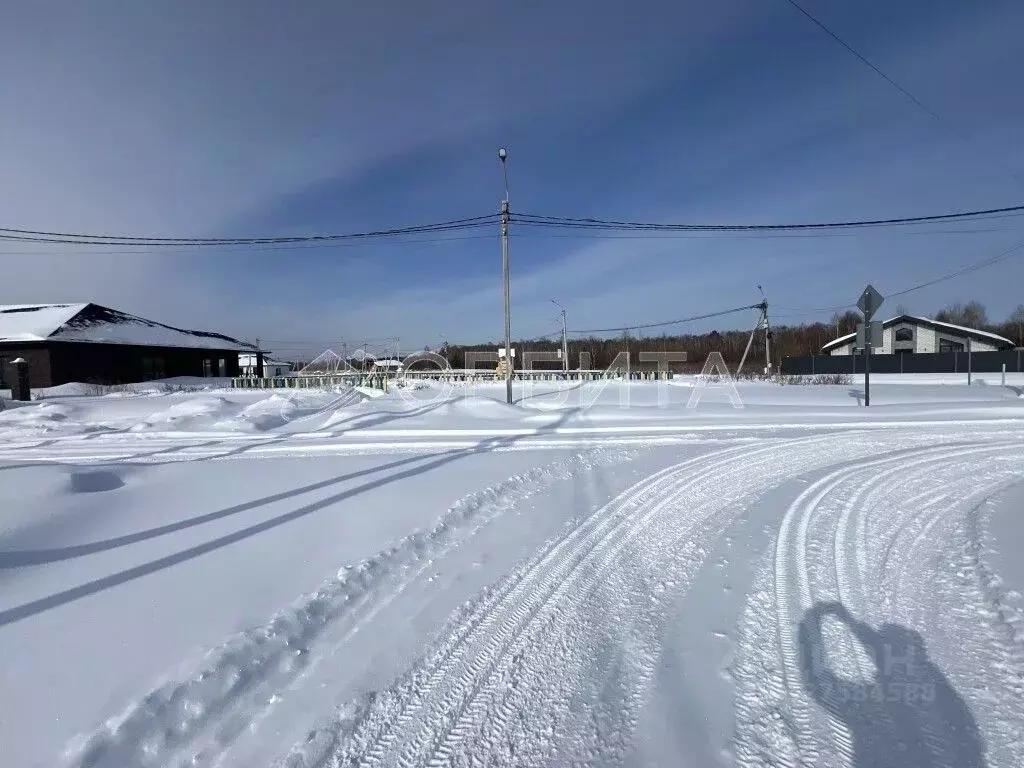 Участок в Тюменская область, Тюменский муниципальный округ Салаирский ... - Фото 2