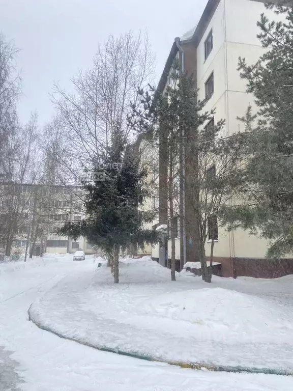 3-к кв. Московская область, Кубинка Кубинка-8 городок, 4 (76.0 м) - Фото 2