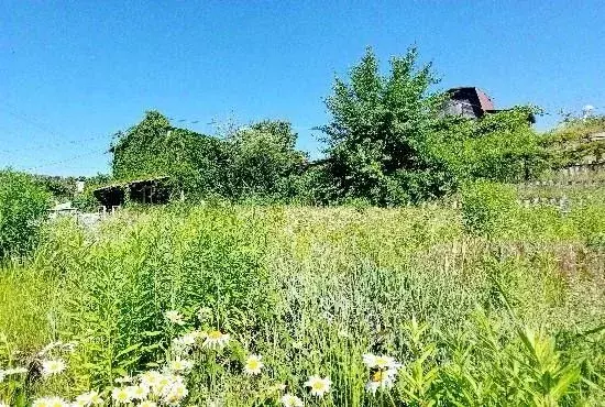 Дом в Самарская область, Тольятти Приозерный СНТ,  (35 м) - Фото 1