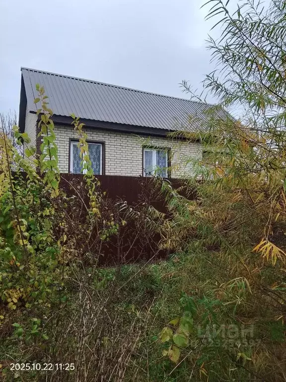 Дом в Тамбовская область, Тамбов городской округ, д. Перикса ул. ... - Фото 1