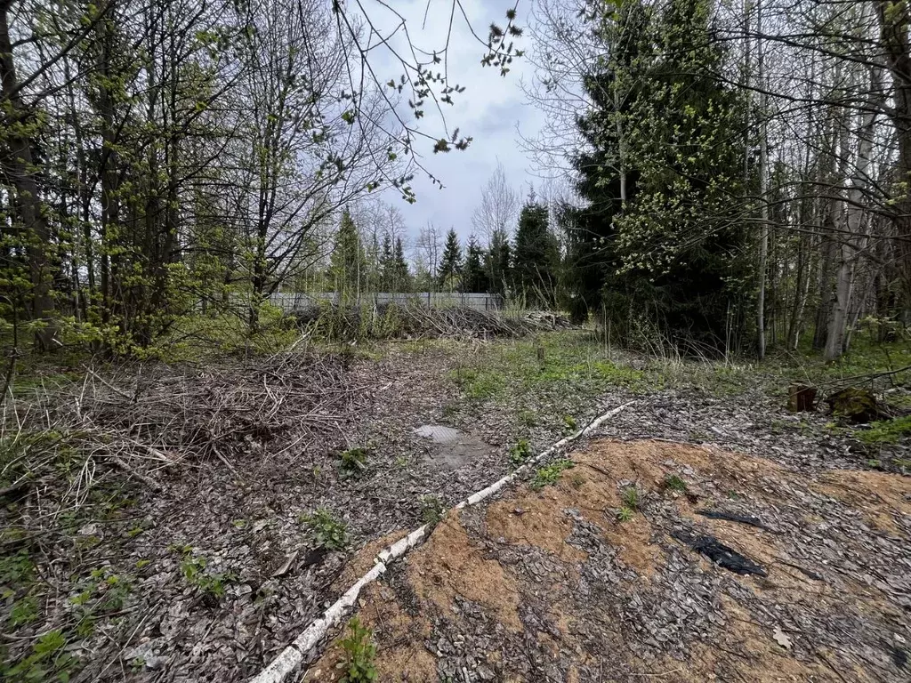 Участок в Московская область, Одинцовский городской округ, д. Сивково, ... - Фото 1