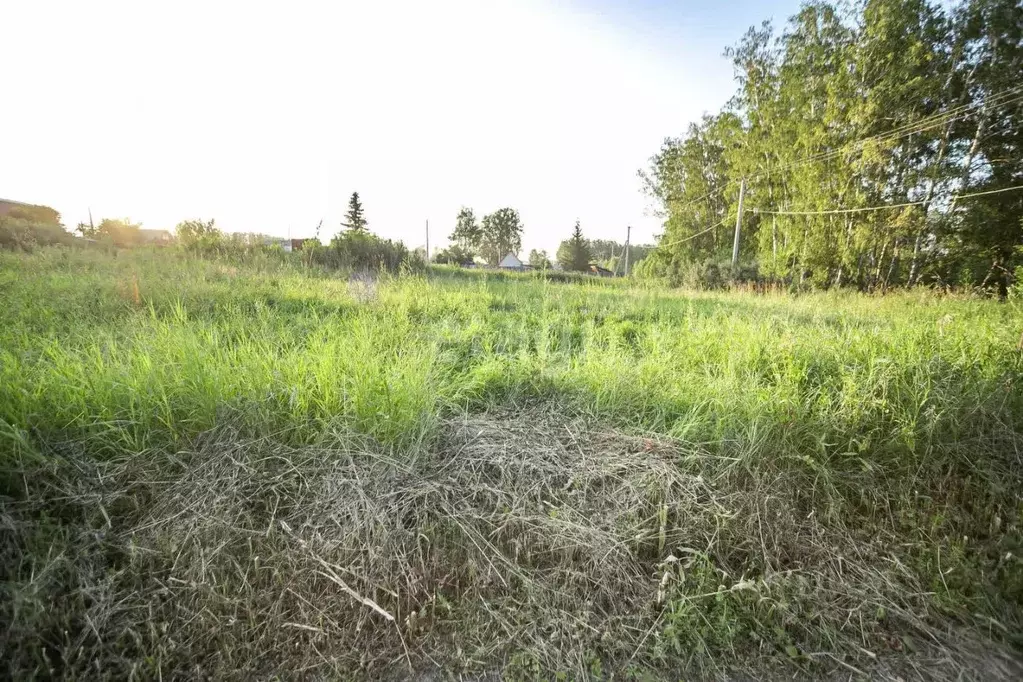 Участок в Новосибирская область, Бердск Ива СНТ, ул. 13-я, 19 (5.5 ... - Фото 0