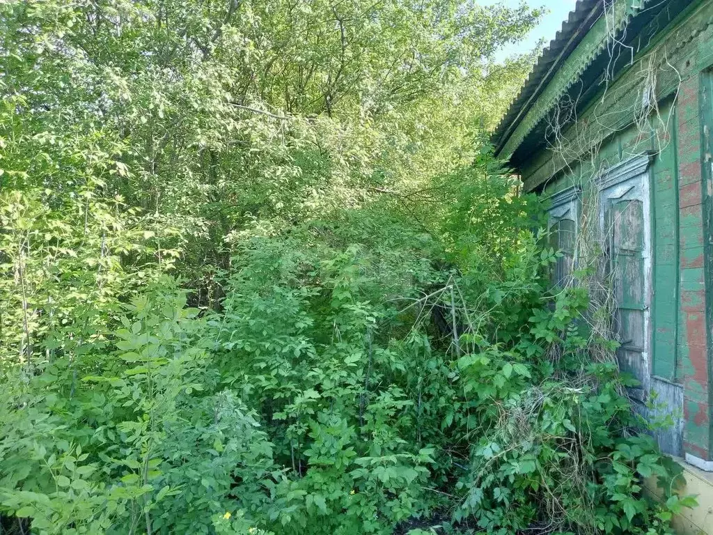 Участок в Саратовская область, Балашов ул. Тараканова, 16 (2.5 сот.) - Фото 0
