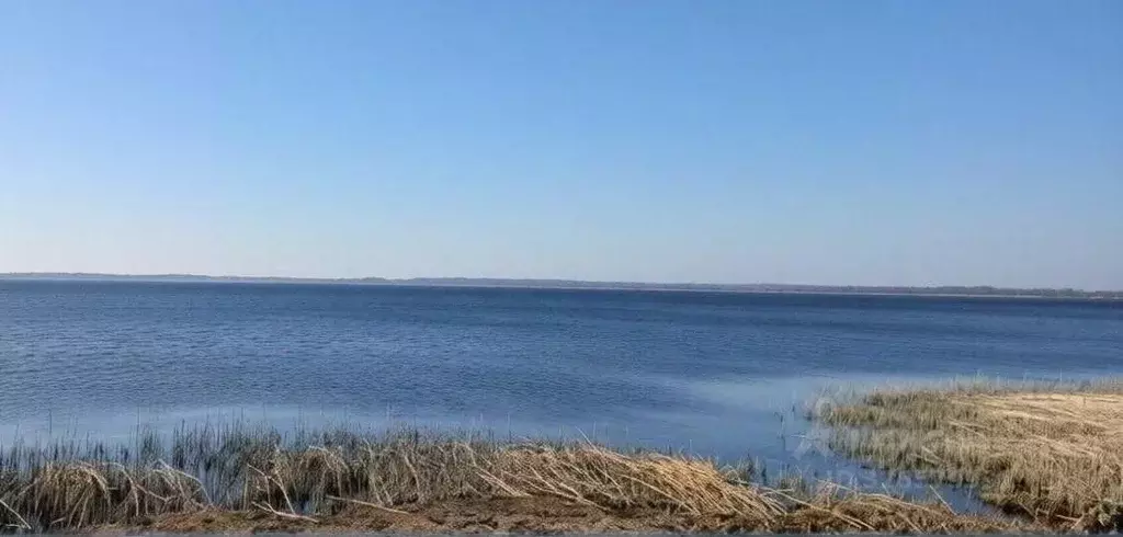 Участок в Калининградская область, Ладушкин Школьная ул. (8.0 сот.) - Фото 2