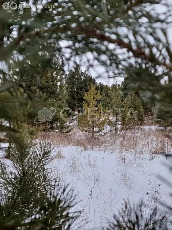 Участок в Тюменский район, село Кулига (30 м) - Фото 0