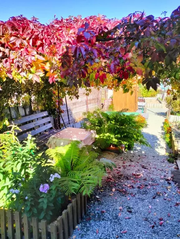 Дом в Омская область, Омск Порт-Артур мкр, ул. Литовская, 9 (62 м) - Фото 1