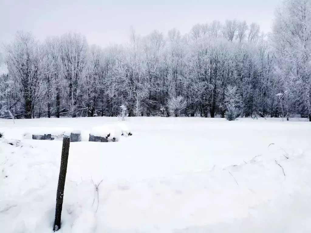 Участок в Владимирская область, Муром с. Ковардицы, ул. 4-я Садовая ... - Фото 0