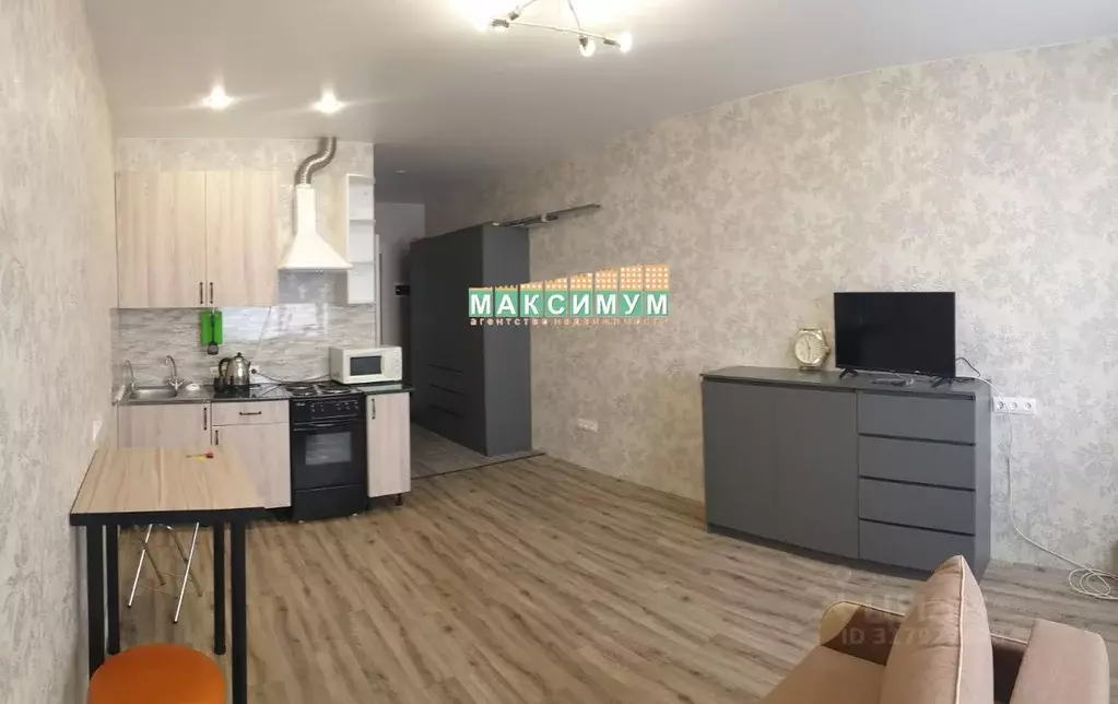 Студия Московская область, Домодедово городской округ, с. Домодедово ... - Фото 1