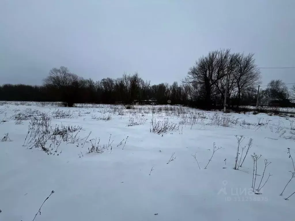 Участок в Белгородская область, Старооскольский городской округ, с. ... - Фото 0