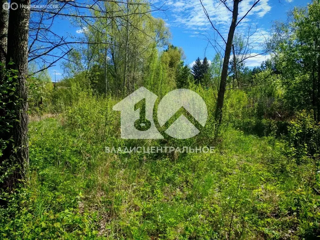 Участок в Кубовинский сельсовет, посёлок Бибиха (9.1 м) - Фото 1