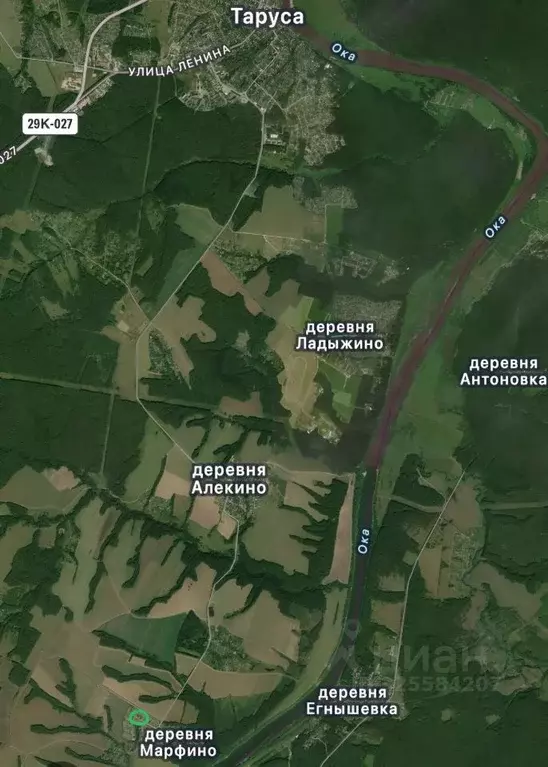 Участок в Калужская область, Тарусский муниципальный округ, Алекино ... - Фото 2
