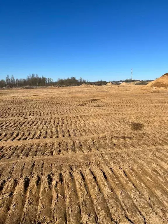 Участок в Ленинградская область, Всеволожский район, Колтушское ... - Фото 1