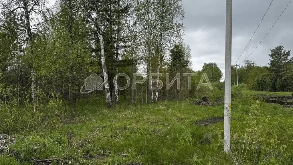Участок в Тюменская область, Тюменский район, Лесник-2 СНТ ул. ... - Фото 0