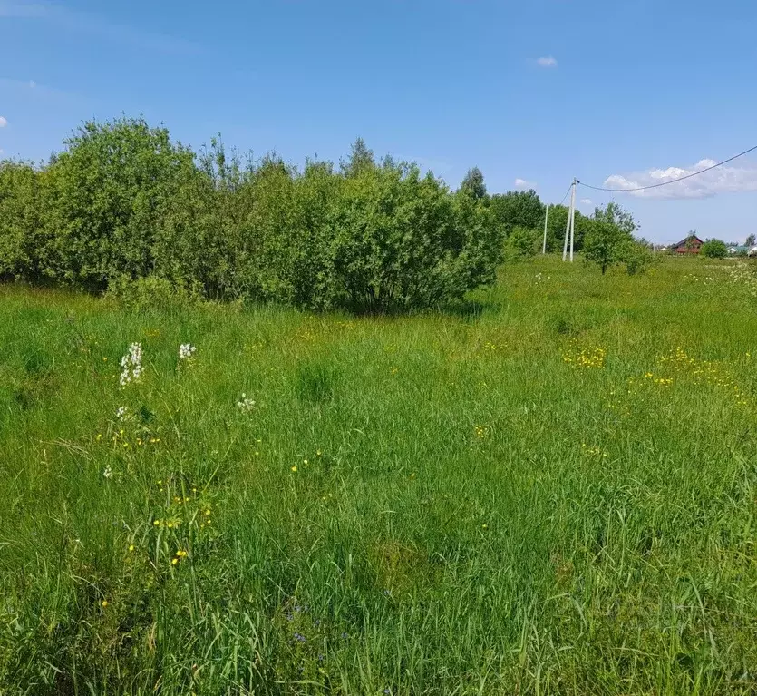 Участок в Владимирская область, Александровский район, Следневское ... - Фото 0