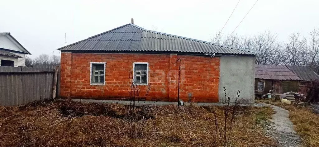 Дом в Белгородская область, Волоконовский район, с. Староивановка ул. ... - Фото 0