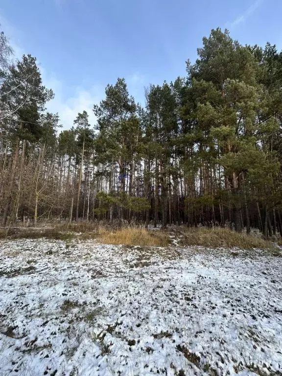 Участок в Татарстан, Лаишево Весенняя ул., 13 (7.5 сот.) - Фото 0