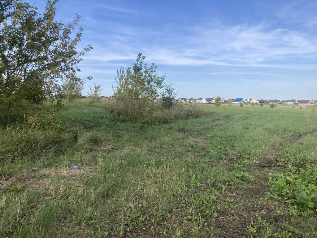 Участок в Пензенская область, с. Бессоновка ул. Радужная (10.0 сот.) - Фото 1