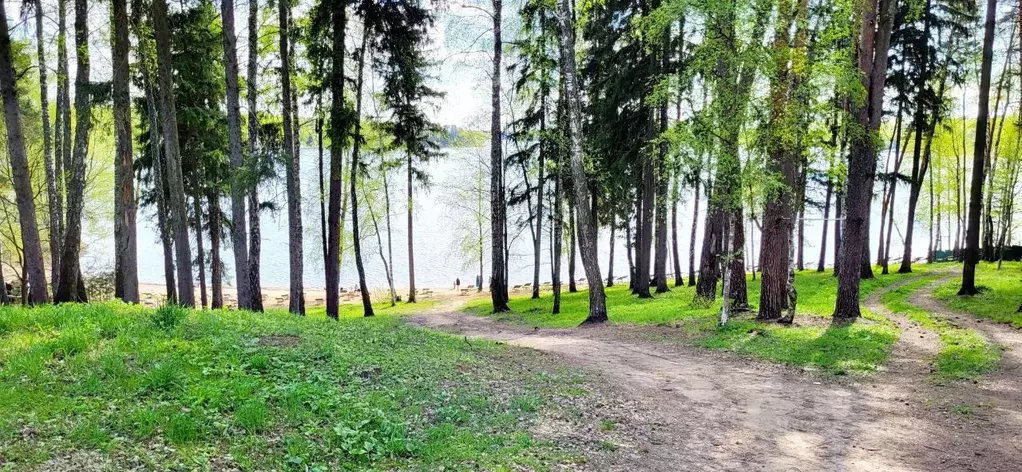 Дом в Московская область, Солнечногорск городской округ, д. Лопотово, ... - Фото 2