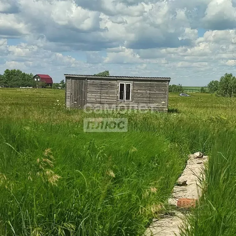 Участок в Рязанская область, Михайловский муниципальный округ, с. ... - Фото 0