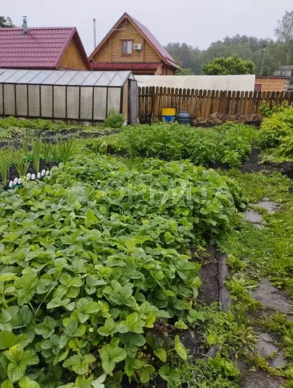 Дом в Тюменская область, Тюменский муниципальный округ, Мичуринец-2 ... - Фото 2