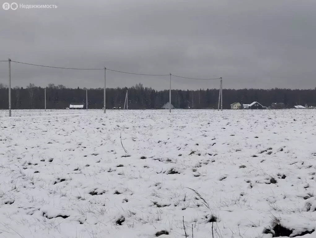 Участок в Дмитровский городской округ, дачный посёлок Раменье (6 м) - Фото 1