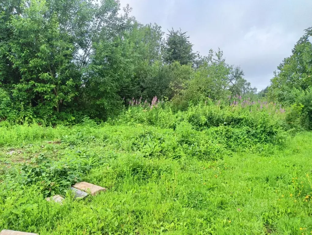 Участок в Московская область, Клин городской округ, д. Елгозино  (5.0 ... - Фото 2