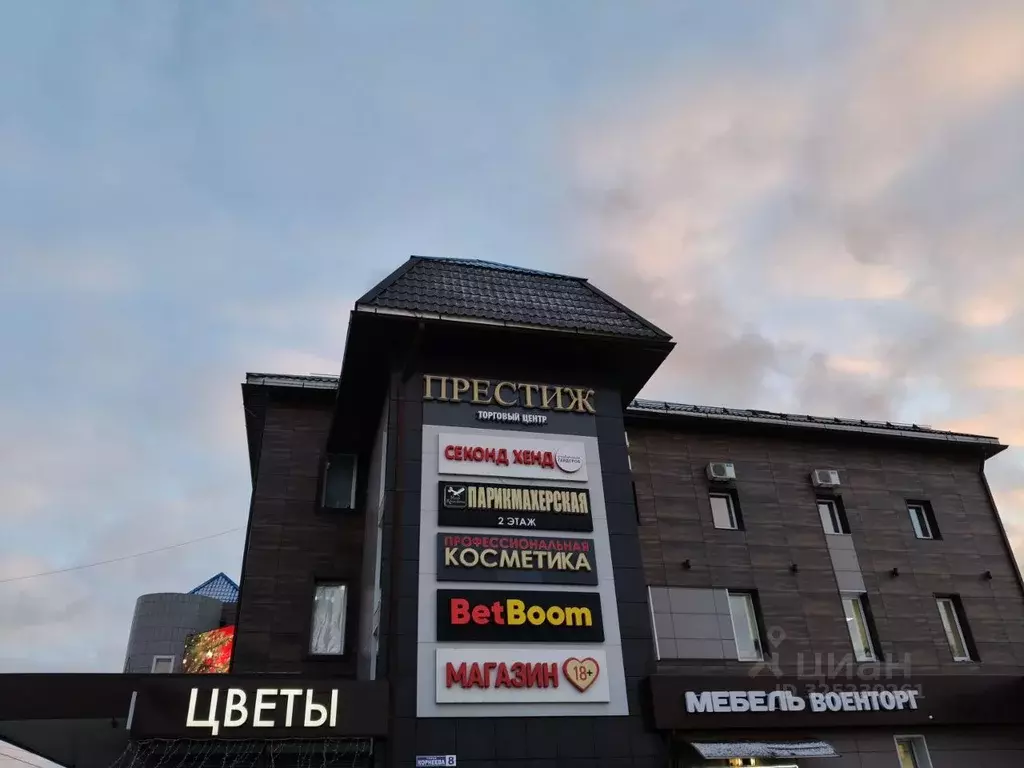 1-к кв. Московская область, Домодедово Центральный мкр, ул. Школьная, ... - Фото 1