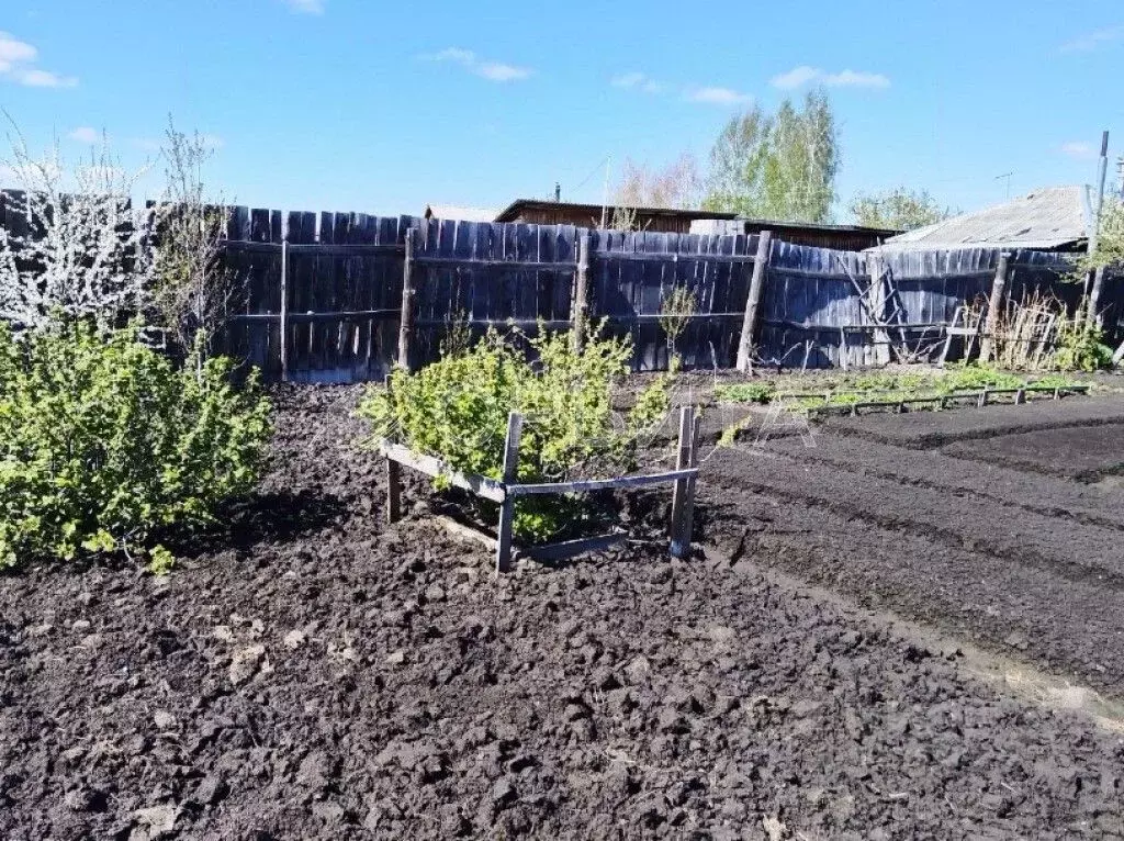 Участок в Тюменская область, Тюмень Березняковский мкр, ул. Любимая ... - Фото 1