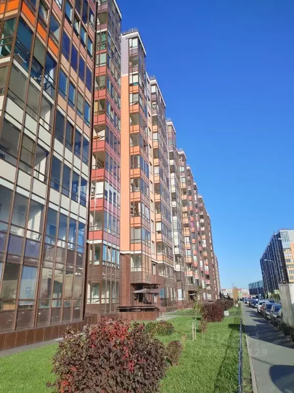 Студия Санкт-Петербург ул. Летчика Лихолетова, 14к3 (24.1 м) - Фото 0