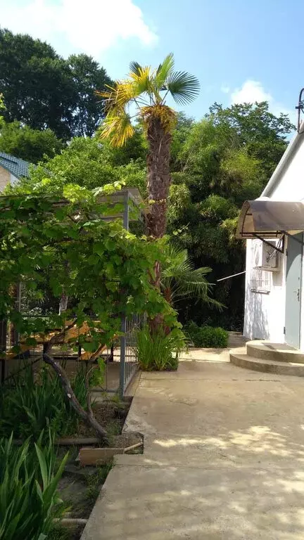 Дом в Сочи, микрорайон Соболевка, Пятигорский тупик (210 м) - Фото 1