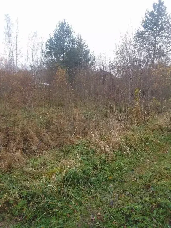 Участок в Тверская область, Конаковский муниципальный округ, Козлово ... - Фото 1